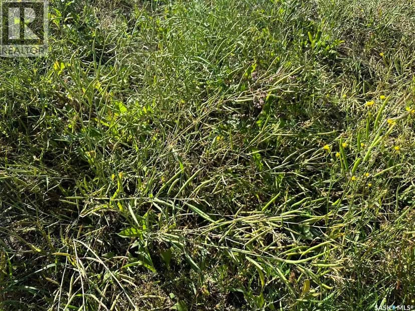Preeceville 320 Acres Grain Farmland — photo 15 of 27