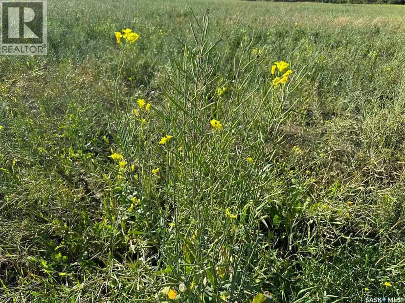Preeceville 320 Acres Grain Farmland — photo 16 of 27