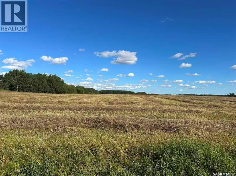 Preeceville 320 Acres Grain Farmland — photo 7 of 27