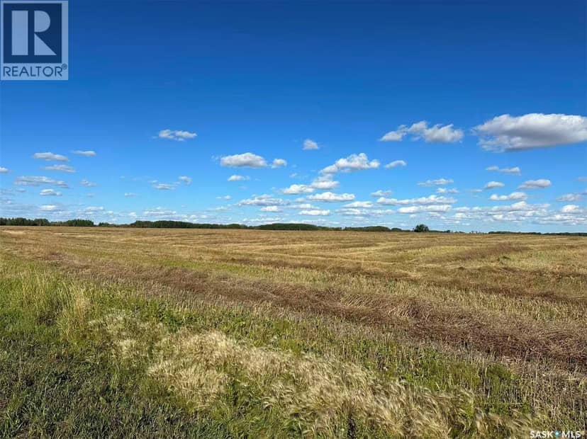 Preeceville 320 Acres Grain Farmland — photo 9 of 27