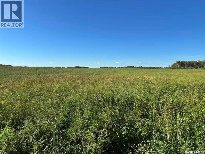 Preeceville 320 Acres Grain Farmland — photo 26 of 27
