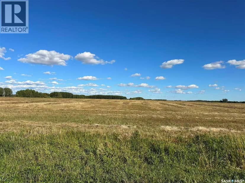 Preeceville 320 Acres Grain Farmland — photo 10 of 27