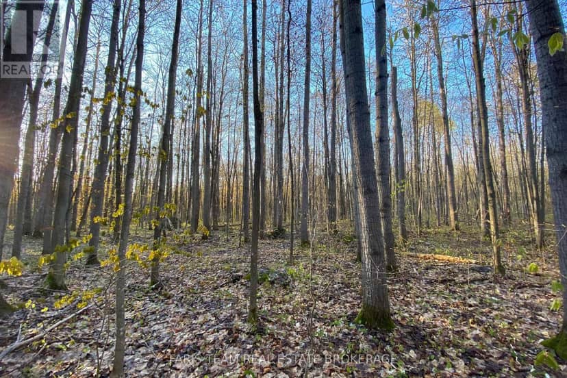 418 Concession 13 Road E — photo 16 of 19