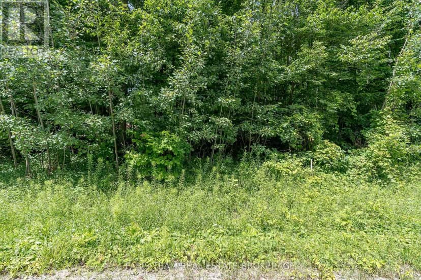 418 Concession 13 Road E — photo 4 of 19