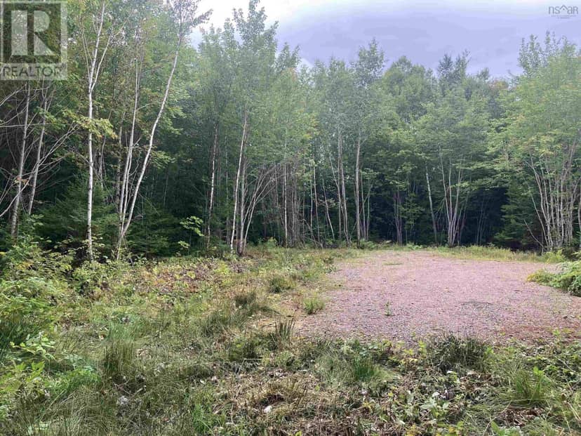 Lot 2020-5 Highway 223 — photo 5 of 10