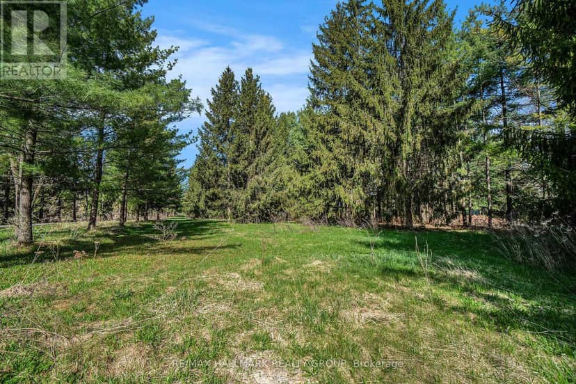 942 Cameron Street — photo 4 of 14