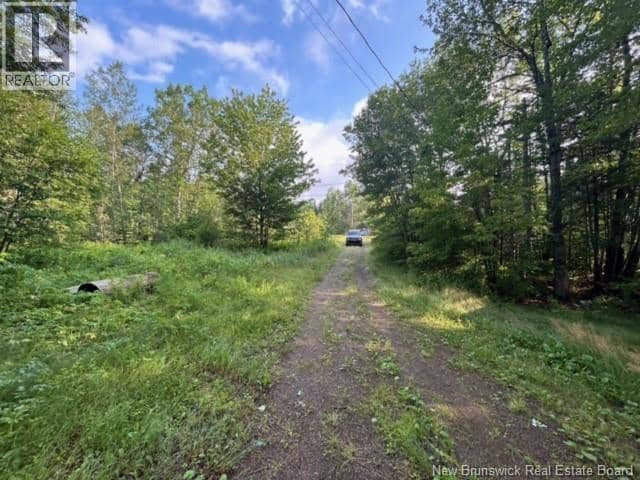 11 Dale Aubin Lane — photo 12 of 27