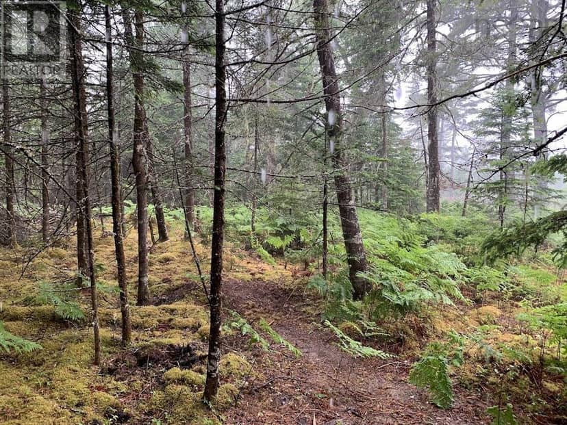Lot 3 Pleasant River Preserve — photo 9 of 14