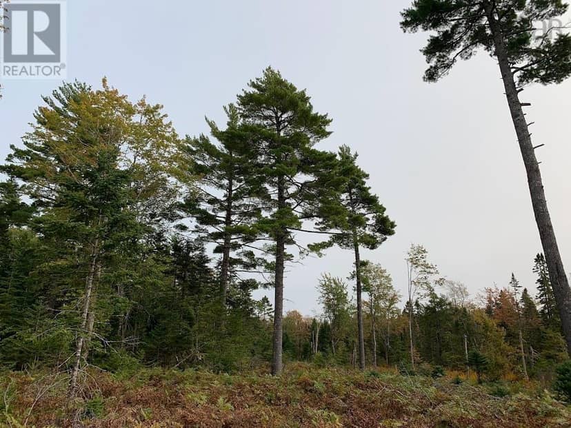 Lot 3 Pleasant River Preserve — photo 11 of 14