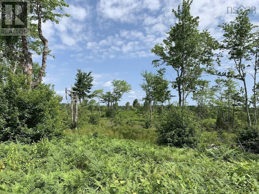 Lot 3 Pleasant River Preserve — photo 14 of 14