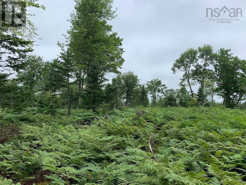Lot 4 Pleasant River Preserve, Pleasant River, photo 2