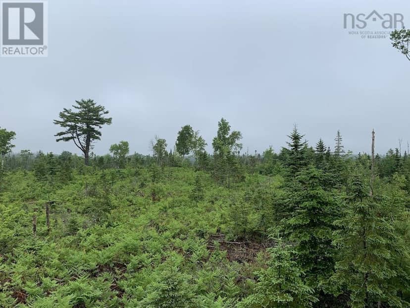 Lot 4 Pleasant River Preserve, Pleasant River, photo 8