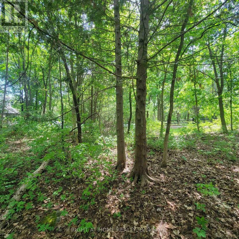 7 Beckenham Lane, Ottawa, photo 6