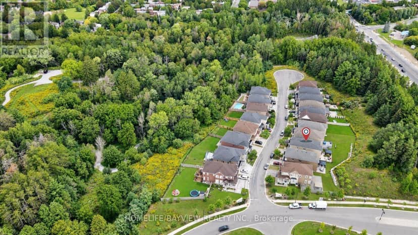 13 Cottonwood Hollow Court, Aurora, photo 8