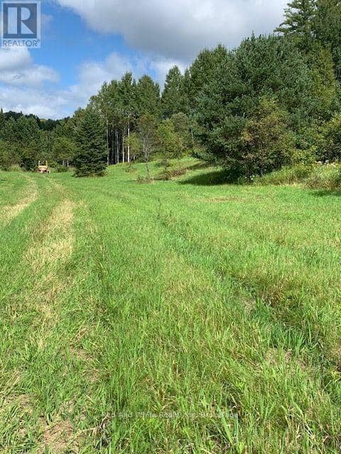 0 Three Mile Lake Road, Armour, photo 2