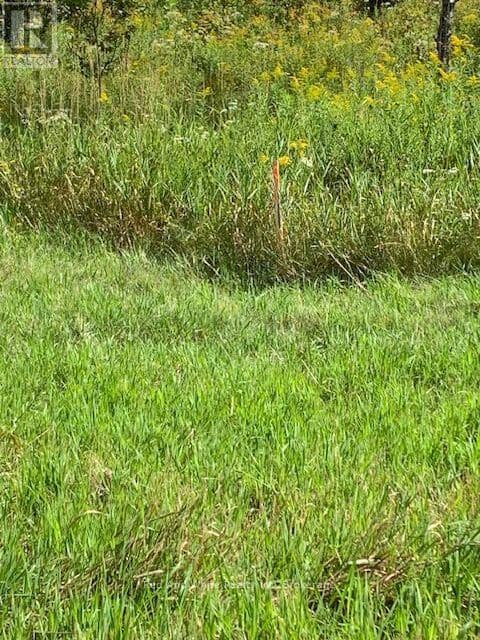 0 Three Mile Lake Road, Armour, photo 5