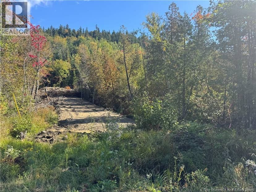 Frye Road — photo 2 of 5