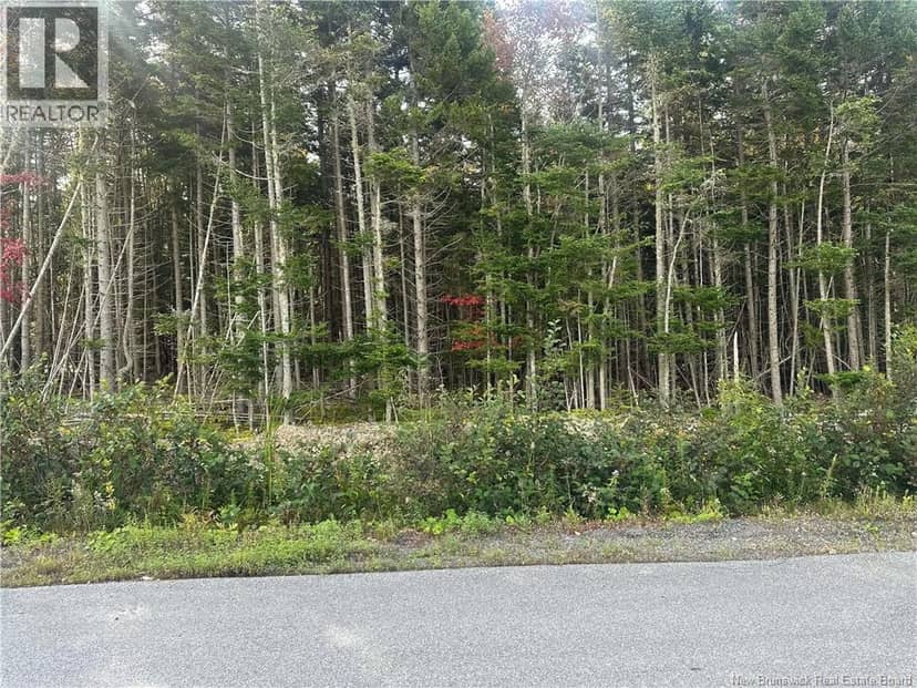 60 Kimberly Street, Saint John, photo 3