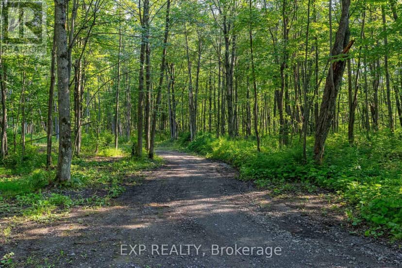 Lot 20 Concession 4 Road, Alfred and Plantagenet, photo 2