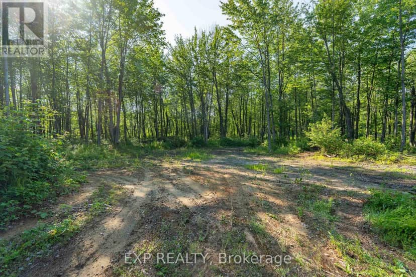 Lot 20 Concession 4 Road, Alfred and Plantagenet, photo 3