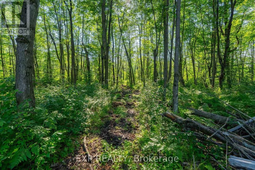 Lot 20 Concession 4 Road, Alfred and Plantagenet, photo 5