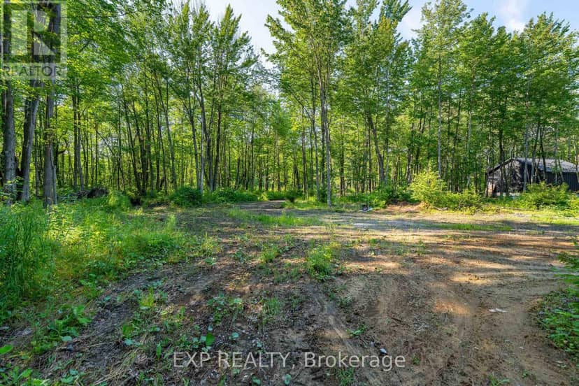Lot 20 Concession 4 Road, Alfred and Plantagenet, photo 7
