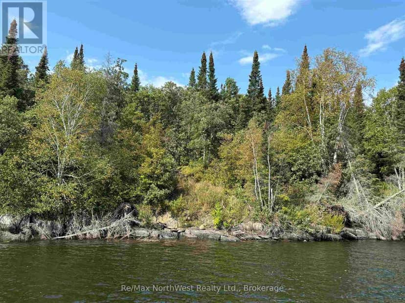 Lot 6 Welcome Channel Lake Of The Woods — photo 3 of 10
