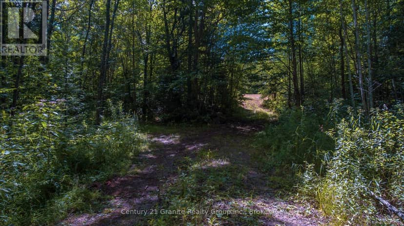 2368 Essonville Line Road — photo 12 of 22