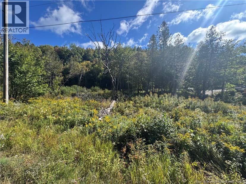 Frye Road — photo 2 of 4