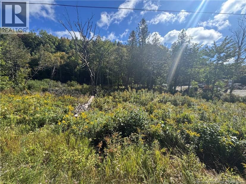 Frye Road — photo 3 of 4