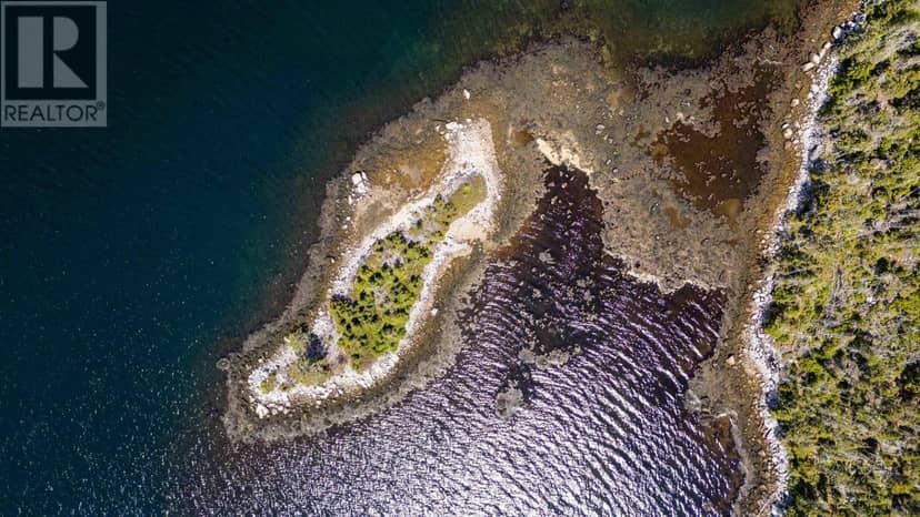 Lot 1 Cochrans Island, Shad Bay, photo 2