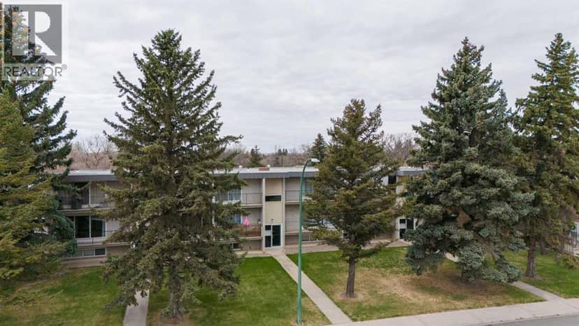 3, 218 Mayor Magrath Drive N, Lethbridge, photo 4