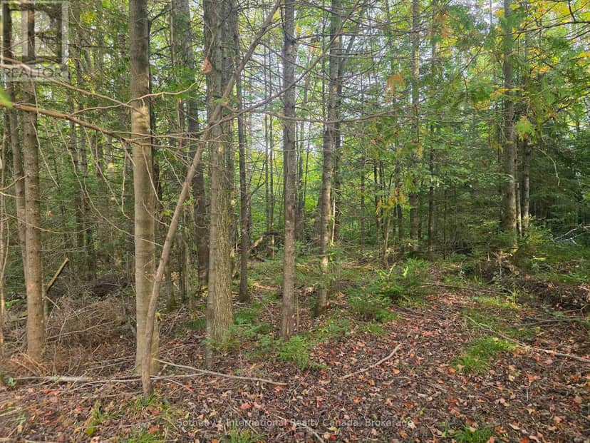 349749 4th Concession B, Grey Highlands, photo 6