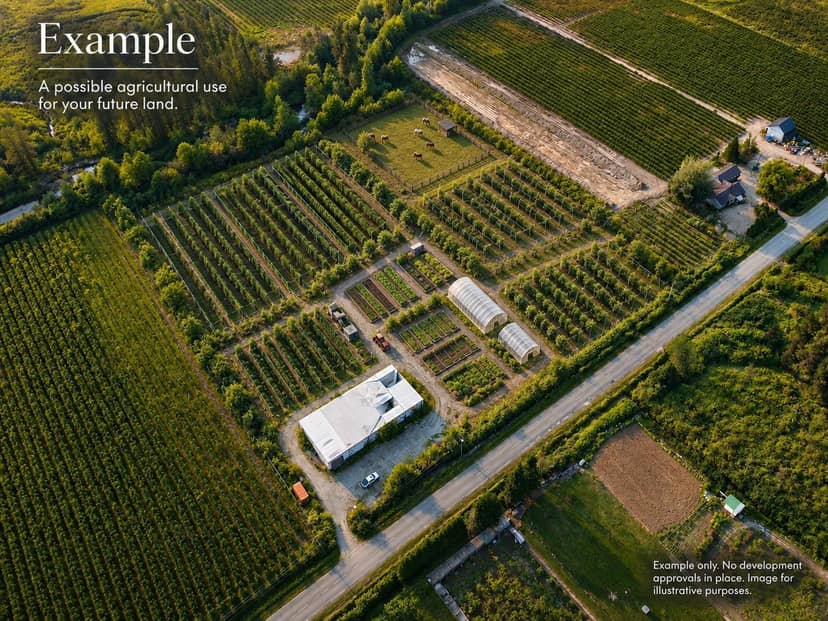 11185 FARMS ROAD, Mission, photo 6