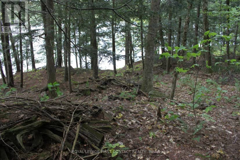 10 Healey Lake Road — photo 27 of 28