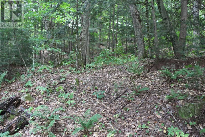 10 Healey Lake Road — photo 28 of 28