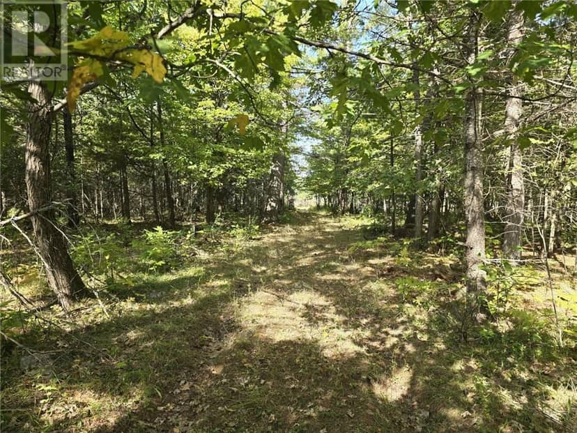LT 11-12 Bidwell Rd, Assiginack, photo 4