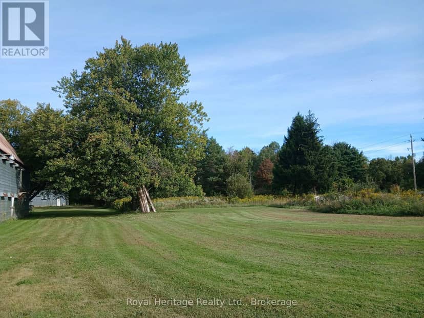 250 Scriver Road, Brighton, photo 6