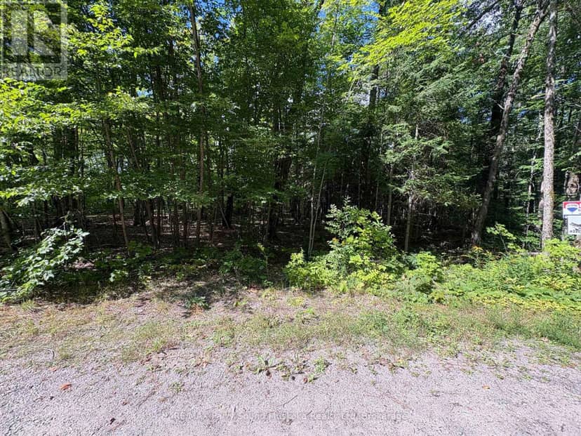 0 Dauncey Road, Magnetawan, photo 3