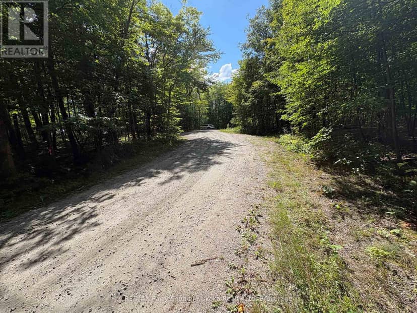 0 Dauncey Road, Magnetawan, photo 8