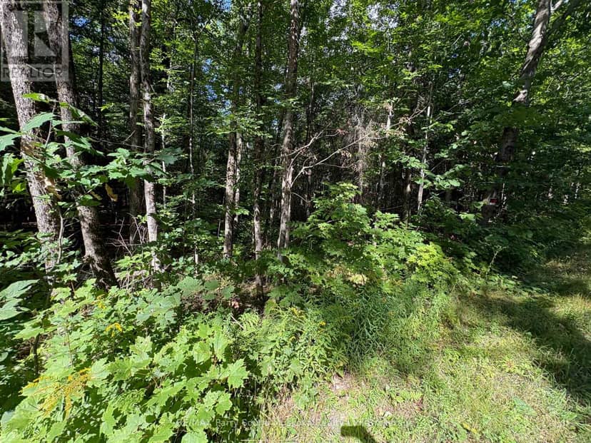0 Dauncey Road, Magnetawan, photo 6