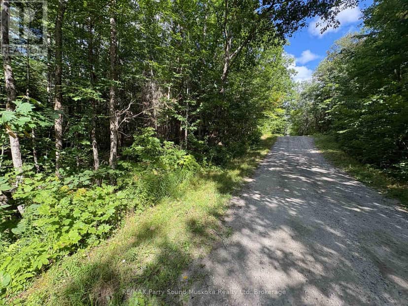 0 Dauncey Road, Magnetawan, photo 5