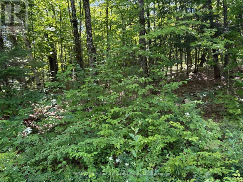 0 Ahmic Lake Road, Magnetawan, photo 8