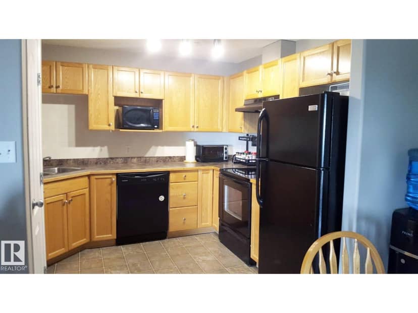 #331 3425 19 ST NW NW, Edmonton, photo 4