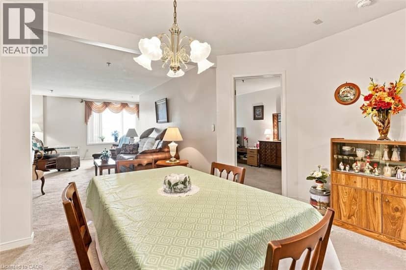 1009 QUEENSTON Road Unit# 217 — photo 10 of 35