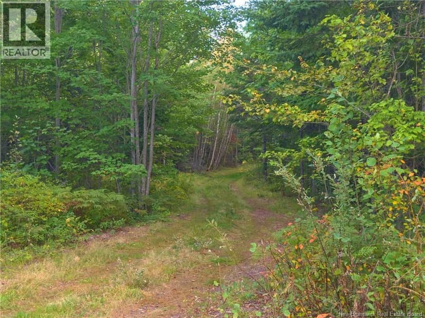 1030 Cox Point Road — photo 16 of 17