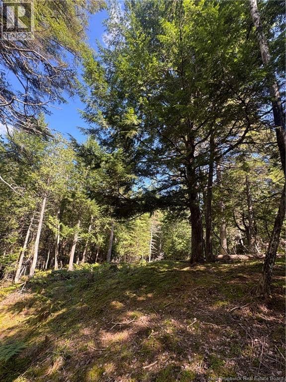 342 Tripp Settlement Road, Keswick Ridge, photo 5