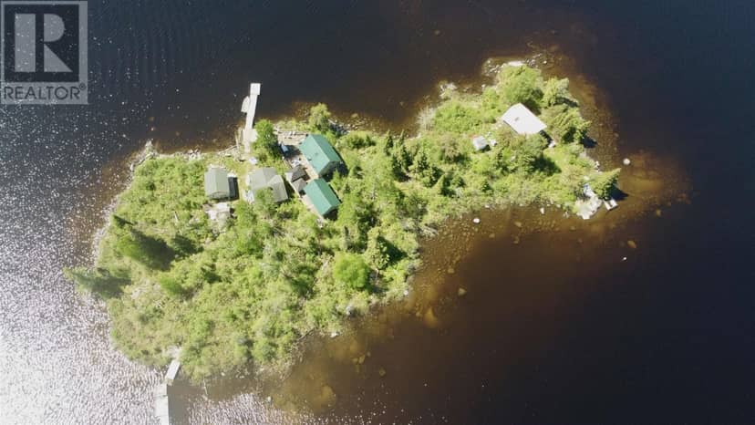 2830 Dog Lake Island — photo 2 of 40