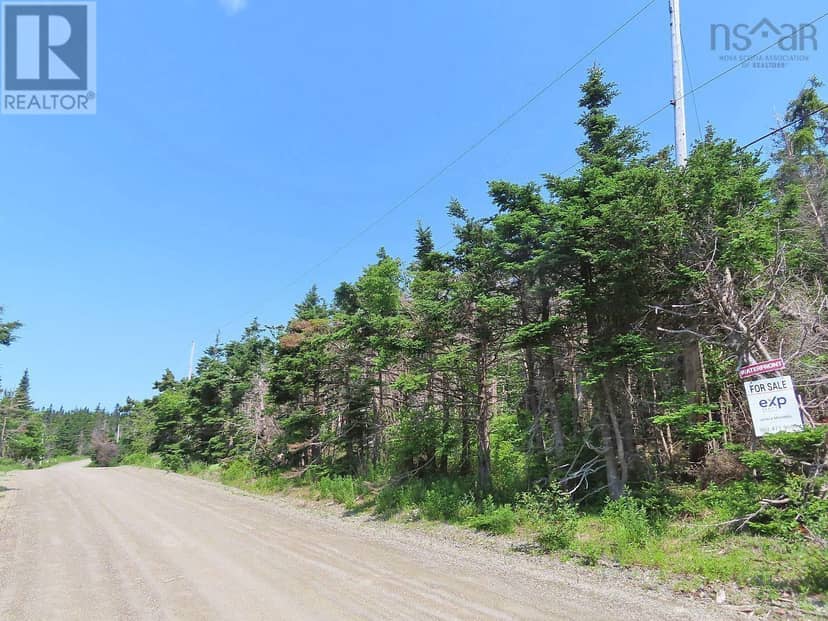 Lot 31 Belfry Lake Road — photo 14 of 40