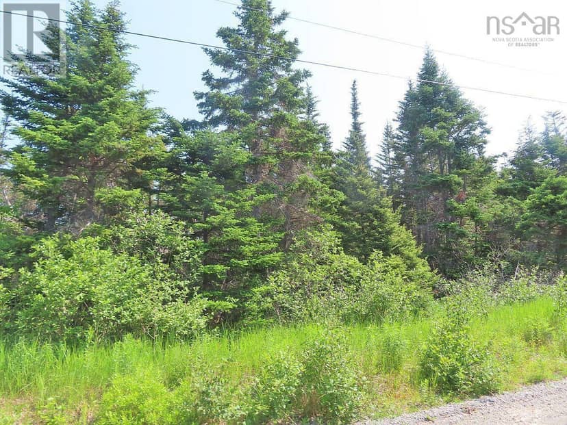 Lot 31 Belfry Lake Road — photo 15 of 40